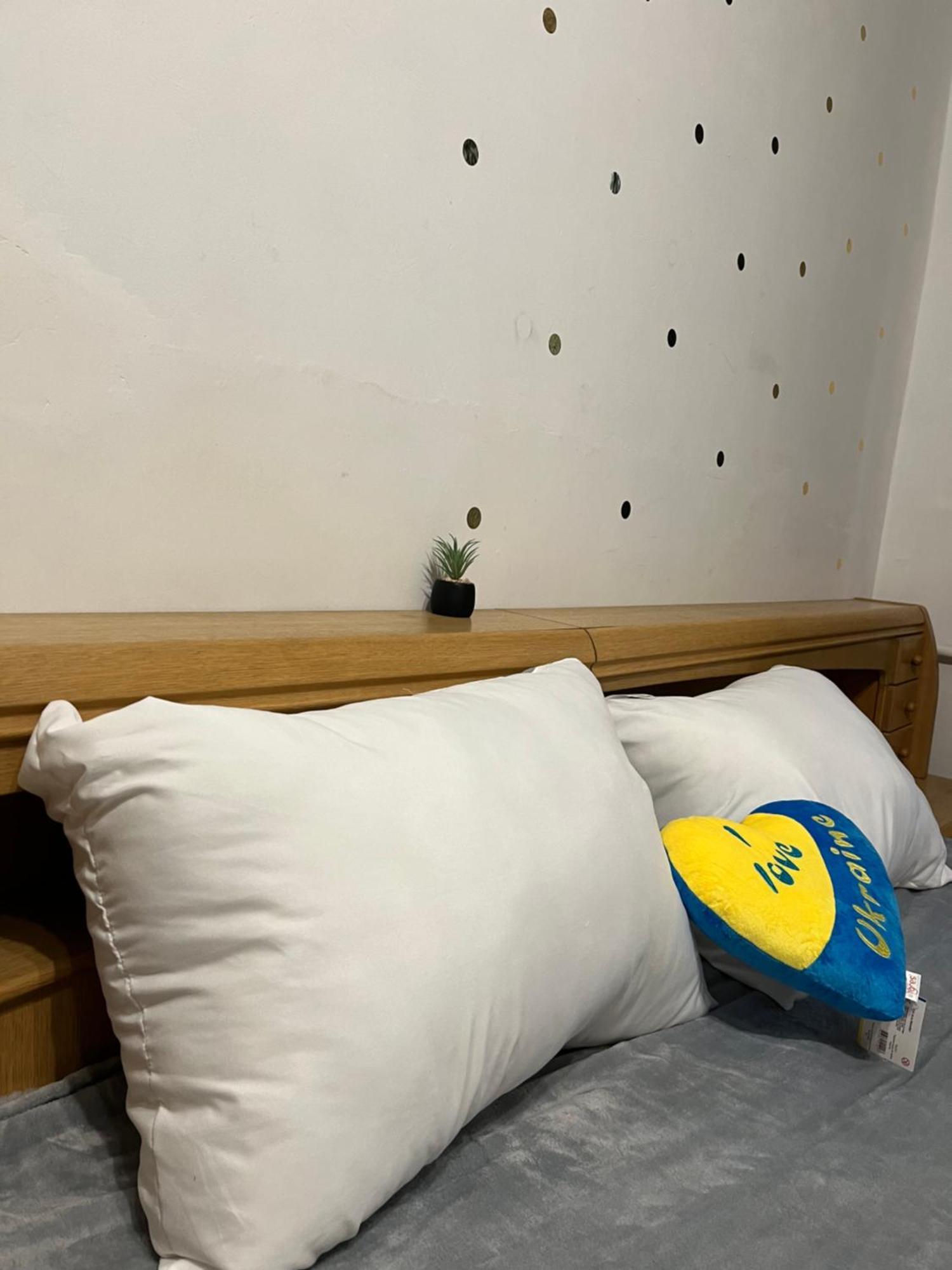 Ararat-Klovskaya Hostel-Apartments Kiev Buitenkant foto
